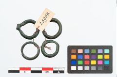 Foto von Bronzering (NHMW-PRAE-025908)